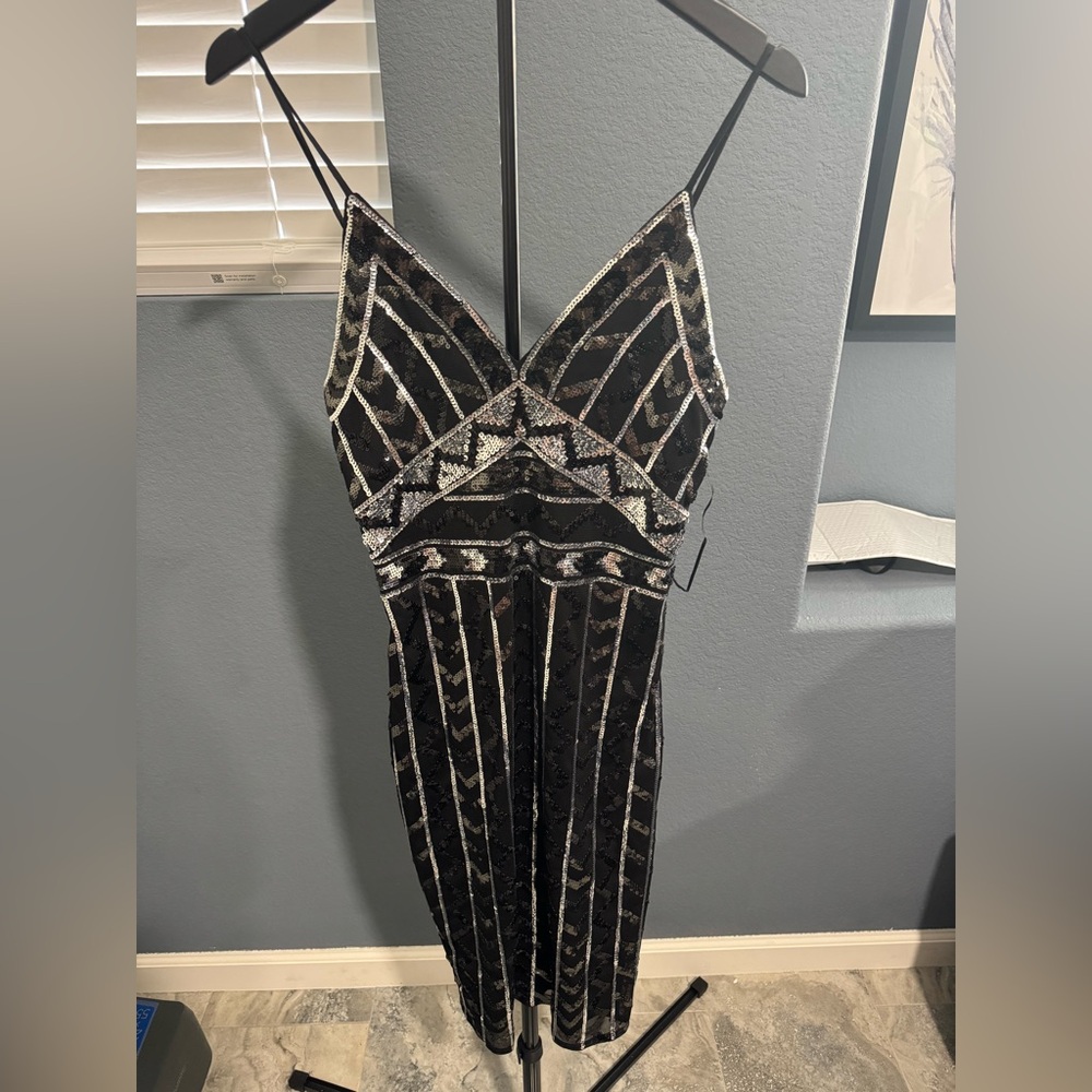Express Black and Silver Sequin Dress